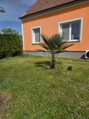 3-Zimmer-Haus kaufen in Horn – 80 m², € 158.999 – Bild 23 von 40
