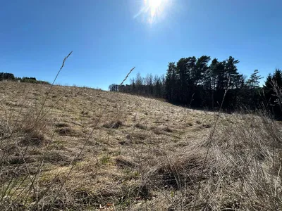 Grundstück kaufen in Oberwart – 2 602 m², € 45.000 – Bild 7 von 14