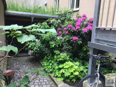 4-Zimmer-Immobilie mieten in Wien – 189 m², € 2.127 – Bild 24 von 26