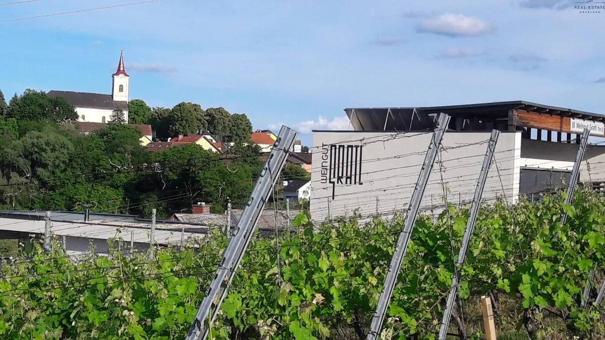 Investitionsmöglichkeit!!!Erfolgreiches Weingut im Burgenland - Ansicht 2