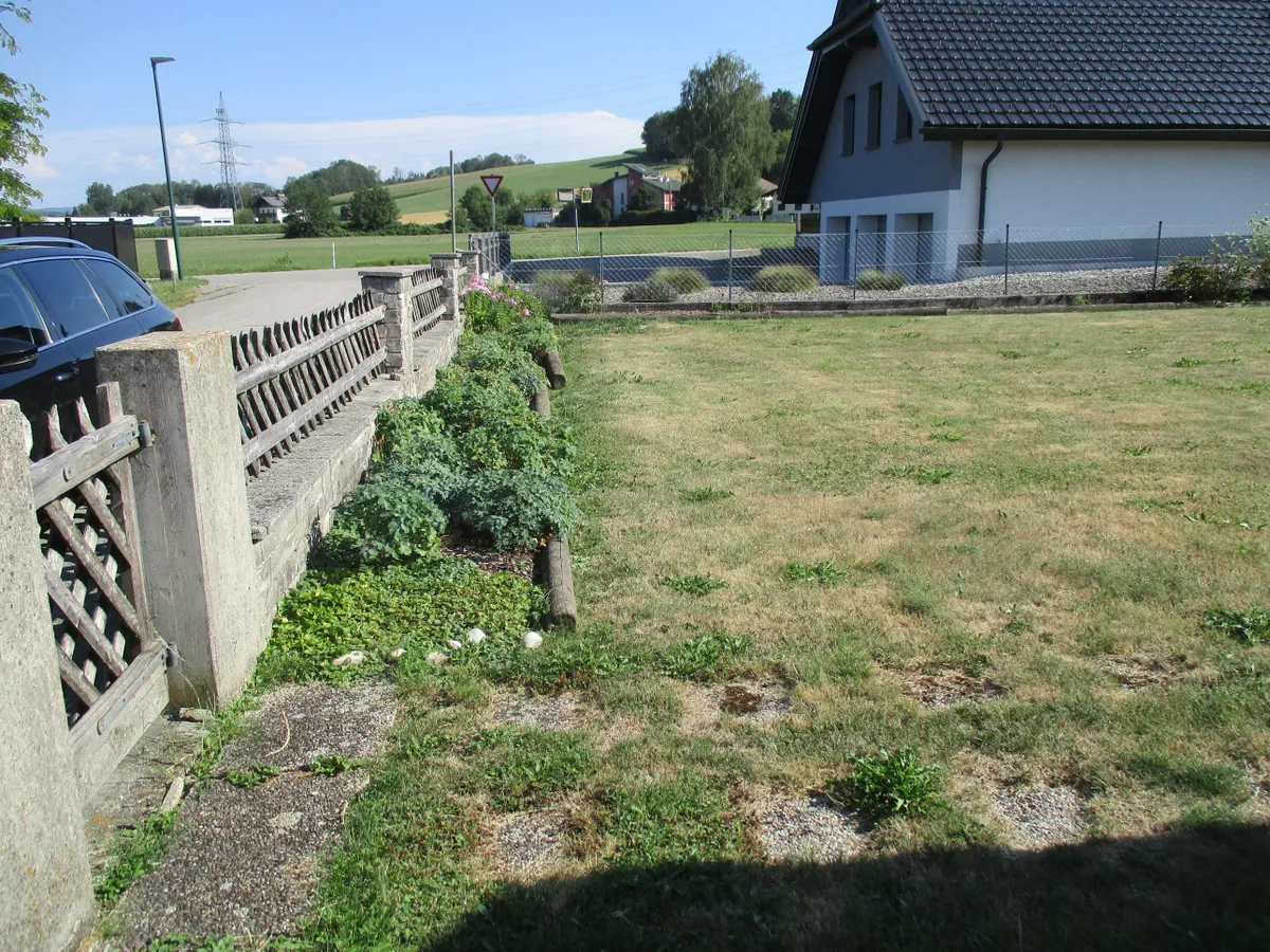 Baugrund in Weierfing/ Aurolzmünster - Ansicht 3