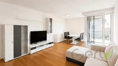 3-Zimmer-Wohnung mieten in Salzburg-Umgebung – 62,38 m², € 1.410 – Bild 4 von 16