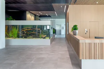 3-Zimmer-Gewerbeimmobilie mieten in Dornbirn – 480 m² – Bild 11 von 23