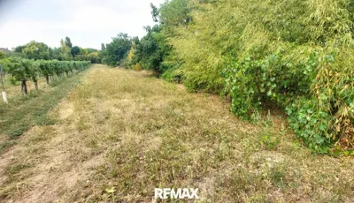 Grundstück kaufen in Neusiedl am See – 621 m², € 210.000 – Bild 2 von 2