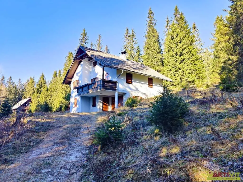 Besonderes Erleben auf über 1.550m Seehöhe. - Gepflegtes Haus direkt am "Gaberl". - Ansicht 2
