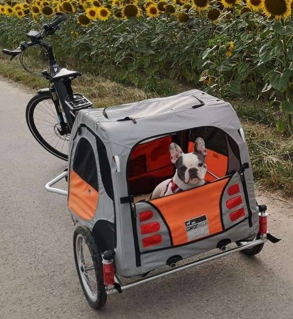 Gefederter Fahrradanhnger, Fahrrad-Anhnger gefedert, Hunde Anhnger,   149,- (3463 Stetteldorf am Wagram) - willhaben