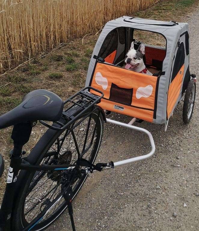 Gefederter Fahrradanhnger, Fahrrad-Anhnger gefedert, Hunde Anhnger,   149,- (3463 Stetteldorf am Wagram) - willhaben