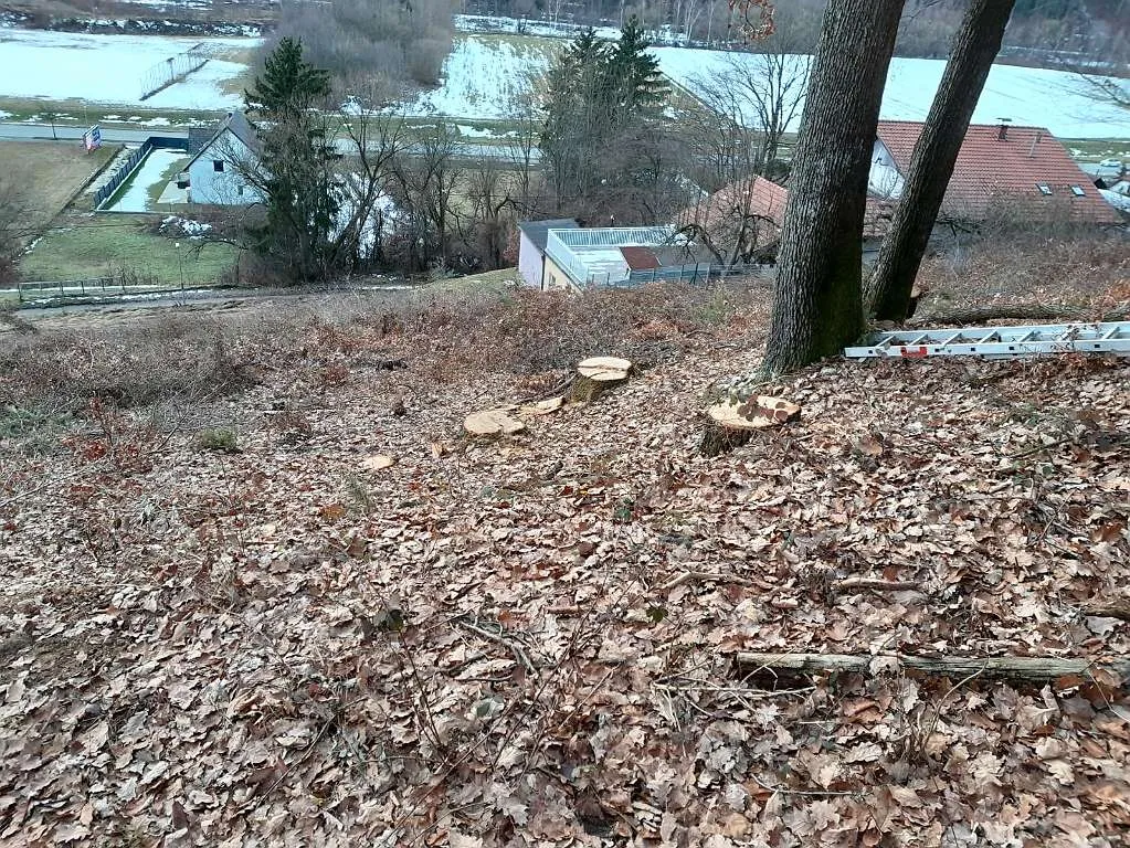 Großer Baugrund mit angrenzenden Wald zu verkaufen - Ansicht 3