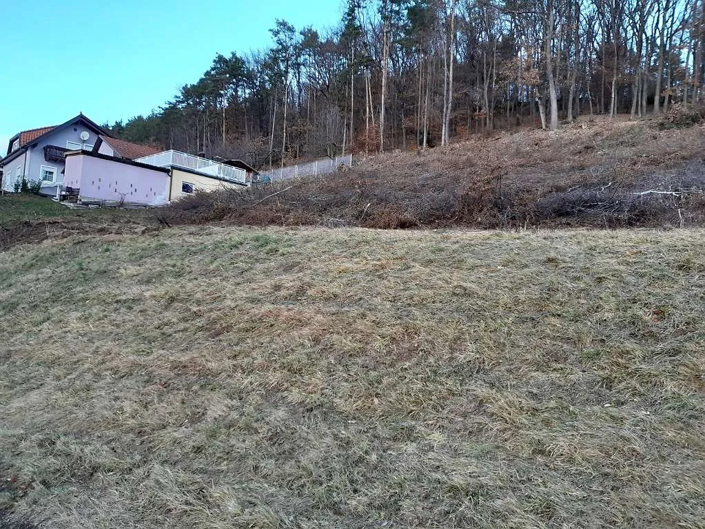 Großer Baugrund mit angrenzenden Wald zu verkaufen - Ansicht 2