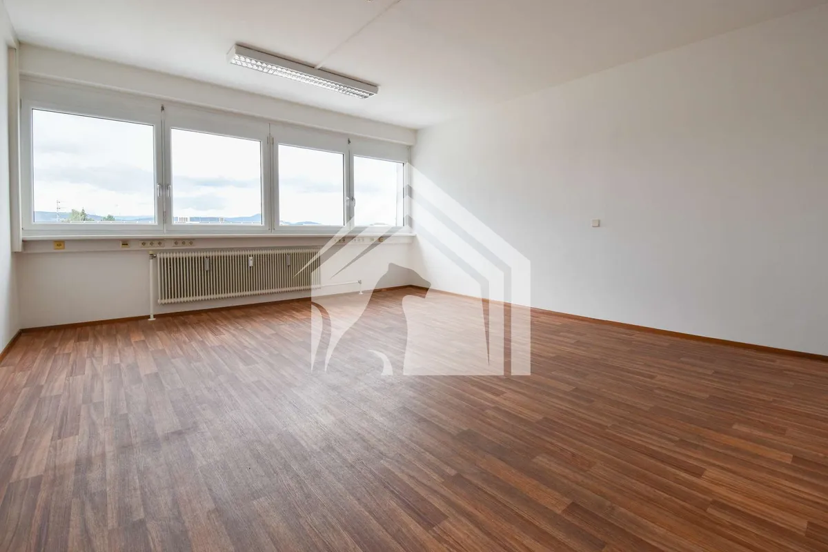 Modernes Einzelbüro mit ca. 25 m² in Klagenfurt-Viktring - ideal für Start-ups & Kleinunternehmen - Ansicht 3