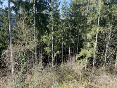 Grundstück kaufen in Voitsberg – 13 215 m², € 150.000 – Bild 3 von 6