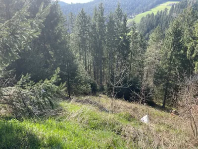 Grundstück kaufen in Voitsberg – 13 215 m², € 150.000 – Bild 6 von 6