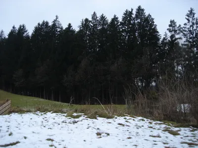 Grundstück kaufen in Kufstein – 1 035 m², € 780.000 – Bild 3 von 4