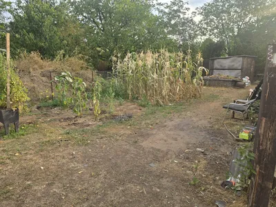 3-Zimmer-Haus kaufen in Gänserndorf – 138 m², € 800.000 – Bild 24 von 31