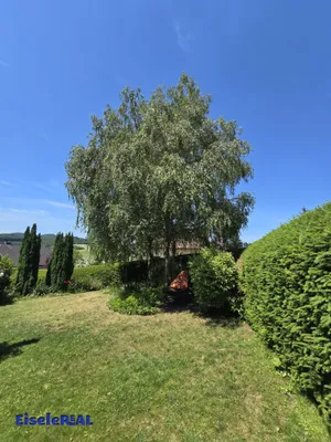6-Zimmer-Haus kaufen in Sankt Pölten Land – 167,21 m², € 799.000 – Bild 5 von 54