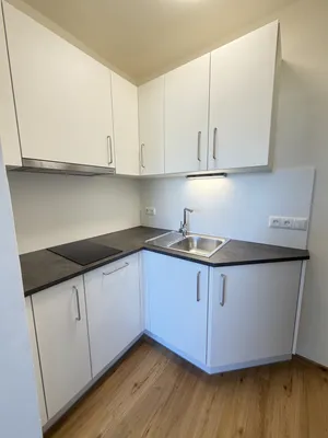Wohnung zur Miete in 8020 Graz