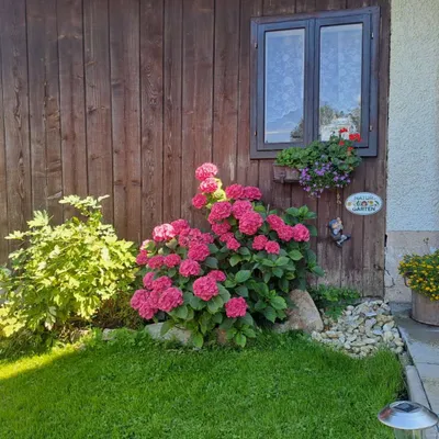 5-Zimmer-Wohnung mieten in Scheibbs – 68 m², € 90 – Bild 5 von 44
