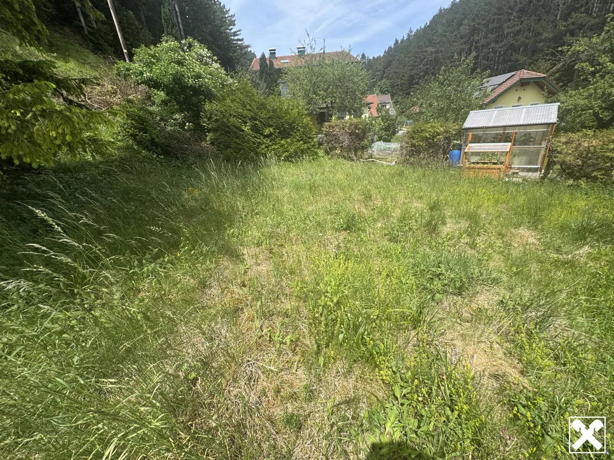 Weg von der Stadt hinein in die Natur - Ansicht 3