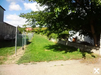Grundstück kaufen in Eisenstadt - Umgebung – 3 238 m², € 590.000 – Bild 3 von 5