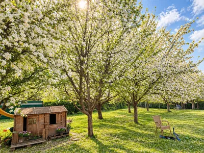 Grundstück kaufen in Wolfsberg – 200 m², € 470.000 – Bild 9 von 20