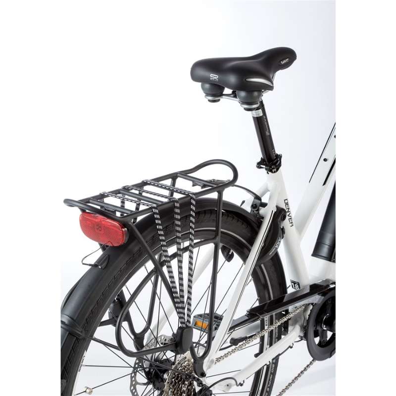 NEU Trekking Ebike Leader Fox DENVER LADY 2020 , Super