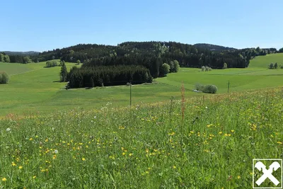 Grundstück kaufen in Freistadt – 1 297 m², € 46.545 – Bild 2 von 4