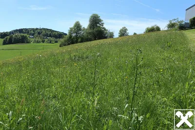 Grundstück kaufen in Freistadt – 1 297 m², € 46.545 – Bild 3 von 4