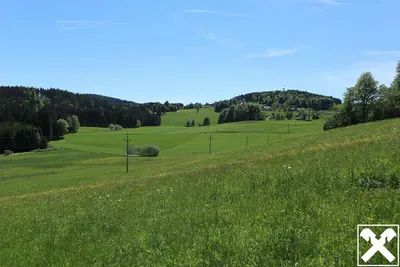 Grundstück kaufen in Freistadt – 1 297 m², € 46.545 – Bild 4 von 4