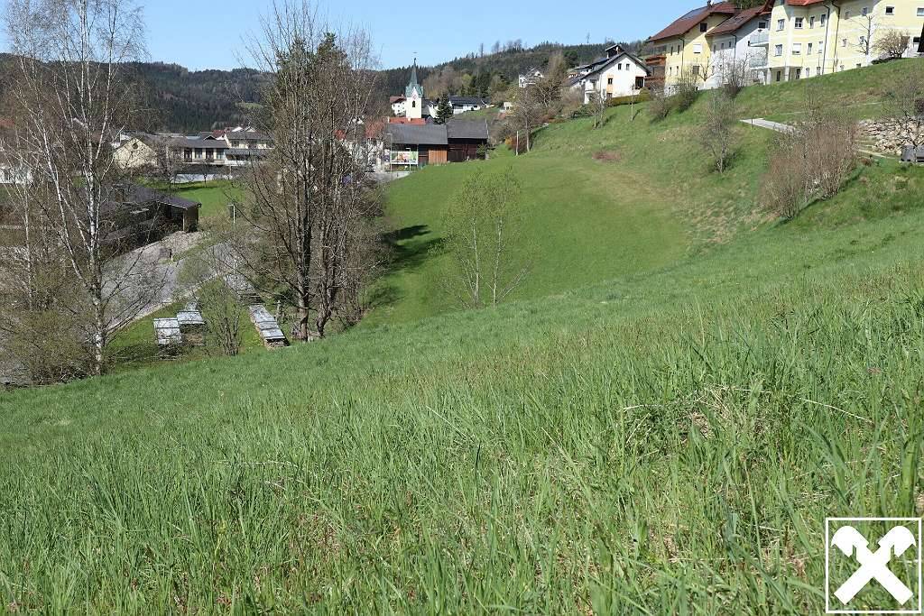 Baugrund in sonniger Süd-West-Hanglage - Ansicht 3