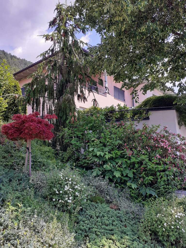 Wunderschöne Doppelhaushälfte auf Leibrente in Fiecht zu verkaufen, 140 m²,  € 550.000,-, (6134 Vomp) - willhaben