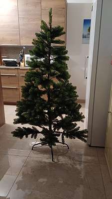 Weihnachtsbaum Christbaum kaufen - willhaben