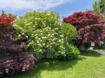 Immobilie kaufen in Hartberg-Fürstenfeld – 230 m², € 350.000 – Bild 13 von 30