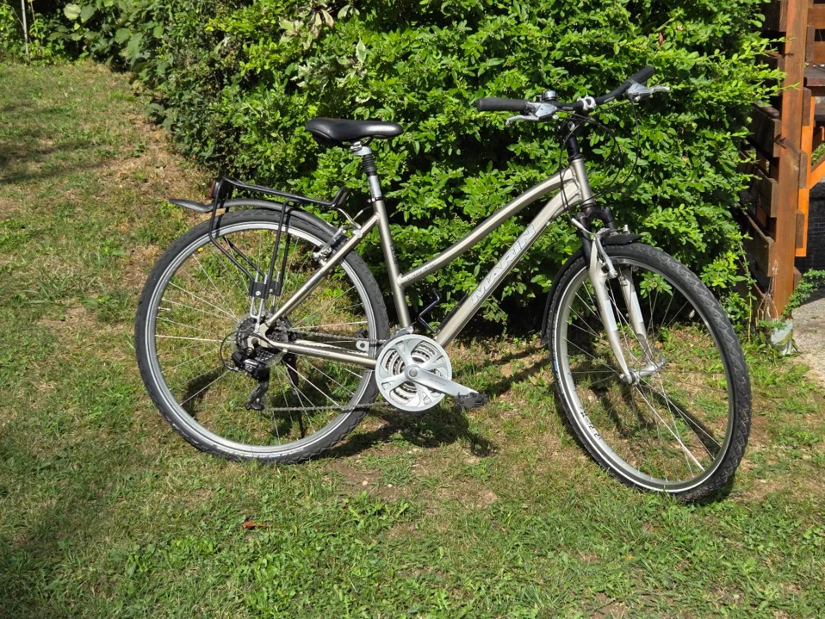 gravel bike cheap El Camino Apex1 Flat Bar FunTrain Duorad Anhänger Evo Bundles Motor & Battery:48V/500W Top wireless — choose