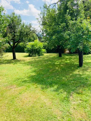 5-Zimmer-Immobilie mieten in Völkermarkt – 152 m², € 1.600 – Bild 5 von 47