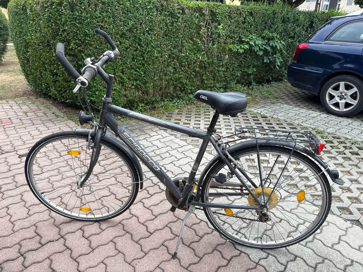 rennrad fortgeschrittene Rennradfahren für und Profis: Training, Taktik und Fahrtechnik im Leistungssport: Der komplette Guide für professionelles Training, ... für ambitionierte Radsportler (Rennrad (DE)) : M. L. Saage, Boreas De. Bücher Year_2010_Make_Dodge_Model_Charger_Engine_6.1L Gas Bag Size:Large Speedplay Nano pedalen, nogal