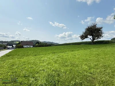 Immobilie kaufen in Melk – 3 683 m² – Bild 6 von 19