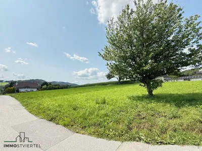 Immobilie kaufen in Melk – 3 683 m² – Bild 5 von 19