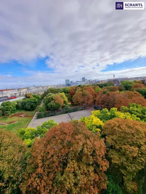 Wohnung kaufen in Wien – 179,88 m², € 790.000 – Bild 8 von 26
