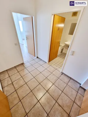 Wohnung kaufen in Wien – 179,88 m², € 790.000 – Bild 17 von 26