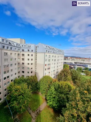 Wohnung kaufen in Wien – 179,88 m², € 790.000 – Bild 2 von 26