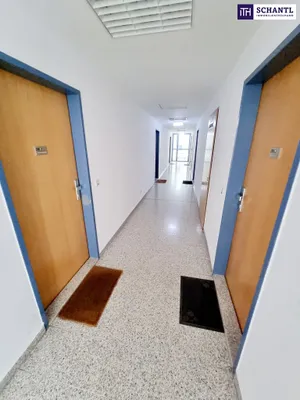 Wohnung kaufen in Wien – 179,88 m², € 790.000 – Bild 21 von 26