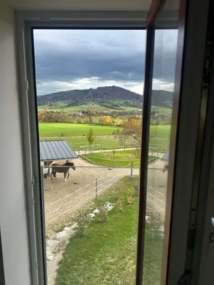 1-Zimmer-Gewerbeimmobilie mieten in Kirchdorf an der Krems – 33 m², € 360 – Bild 4 von 5