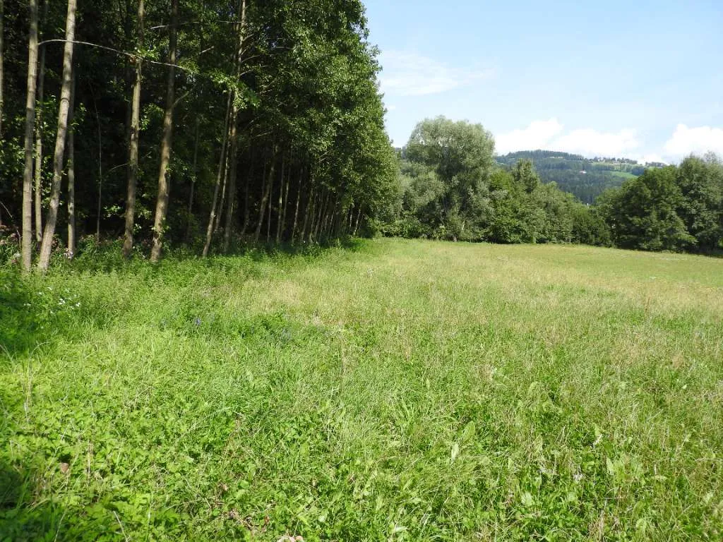 WUNDERSCHÖNE WOHNLAGE in ländlicher,ruhiger UMGEBUNG, Gst.Flächen ca. 16.000 m² - Ansicht 2
