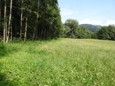 Grundstück kaufen in Wolfsberg – 16 000 m² – Bild 2 von 4