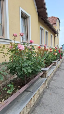 5-Zimmer-Haus mieten in Horn – 120 m², € 1.428 – Bild 3 von 21