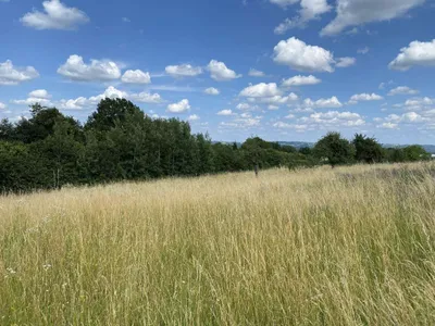 Grundstück kaufen in Hartberg-Fürstenfeld – 4 027 m² – Bild 3 von 4