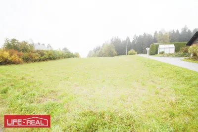Grundstück kaufen in Rohrbach – 6 782 m², € 47.474 – Bild 4 von 5