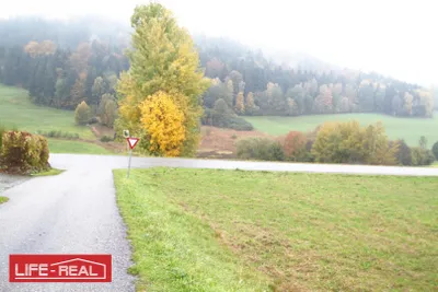 Grundstück kaufen in Rohrbach – 6 782 m², € 47.474 – Bild 2 von 5