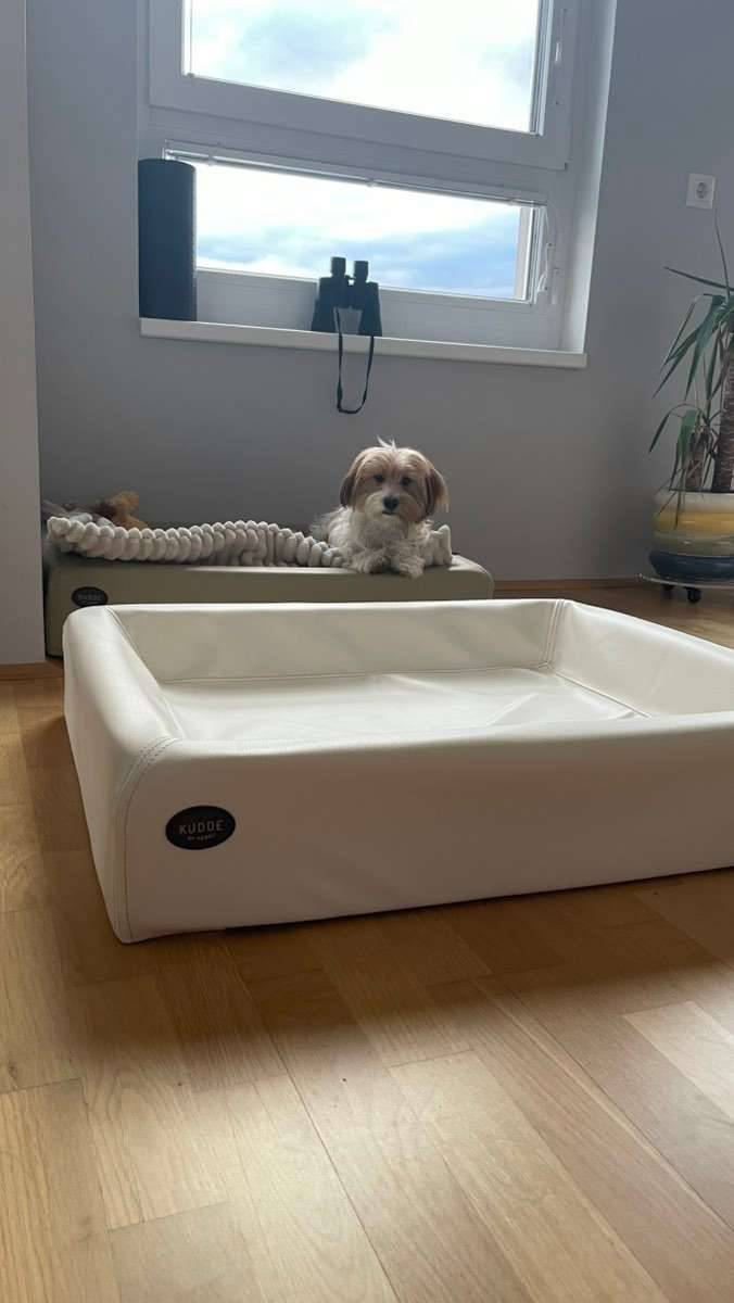 KUDDE Hundebett von Sabro neu Kunstleder Gr. M,  80,- (1100 Wien) -  willhaben