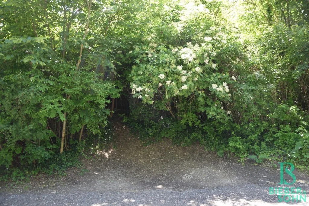Beim Buchberg - Baugrund in herrlicher Aussichtslage - vielseitige Nutzungsmöglichkeit – pohled 2